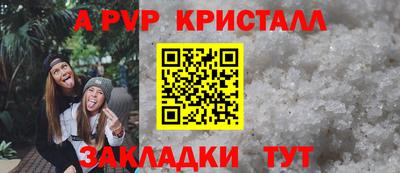 стаф Новозыбков